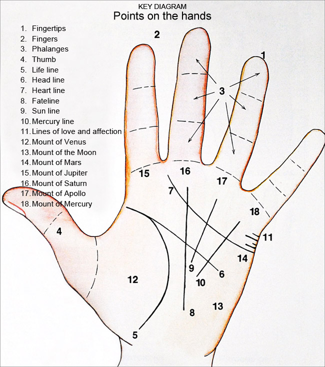 Free Palm Reading Chart