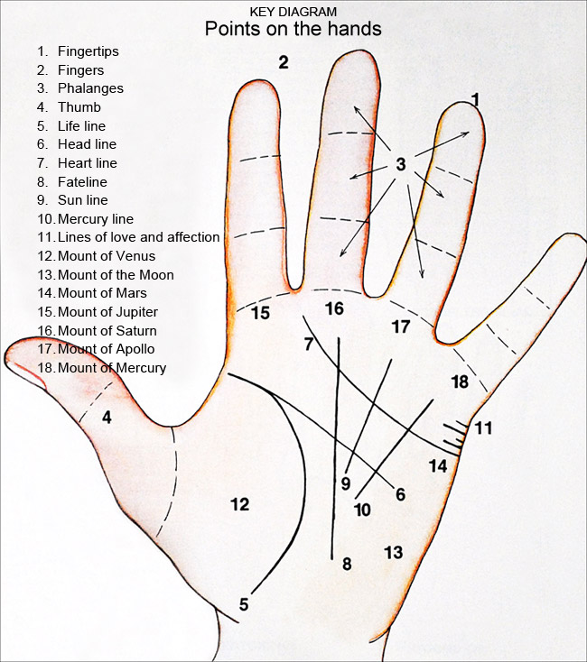 Hand Reading Chart